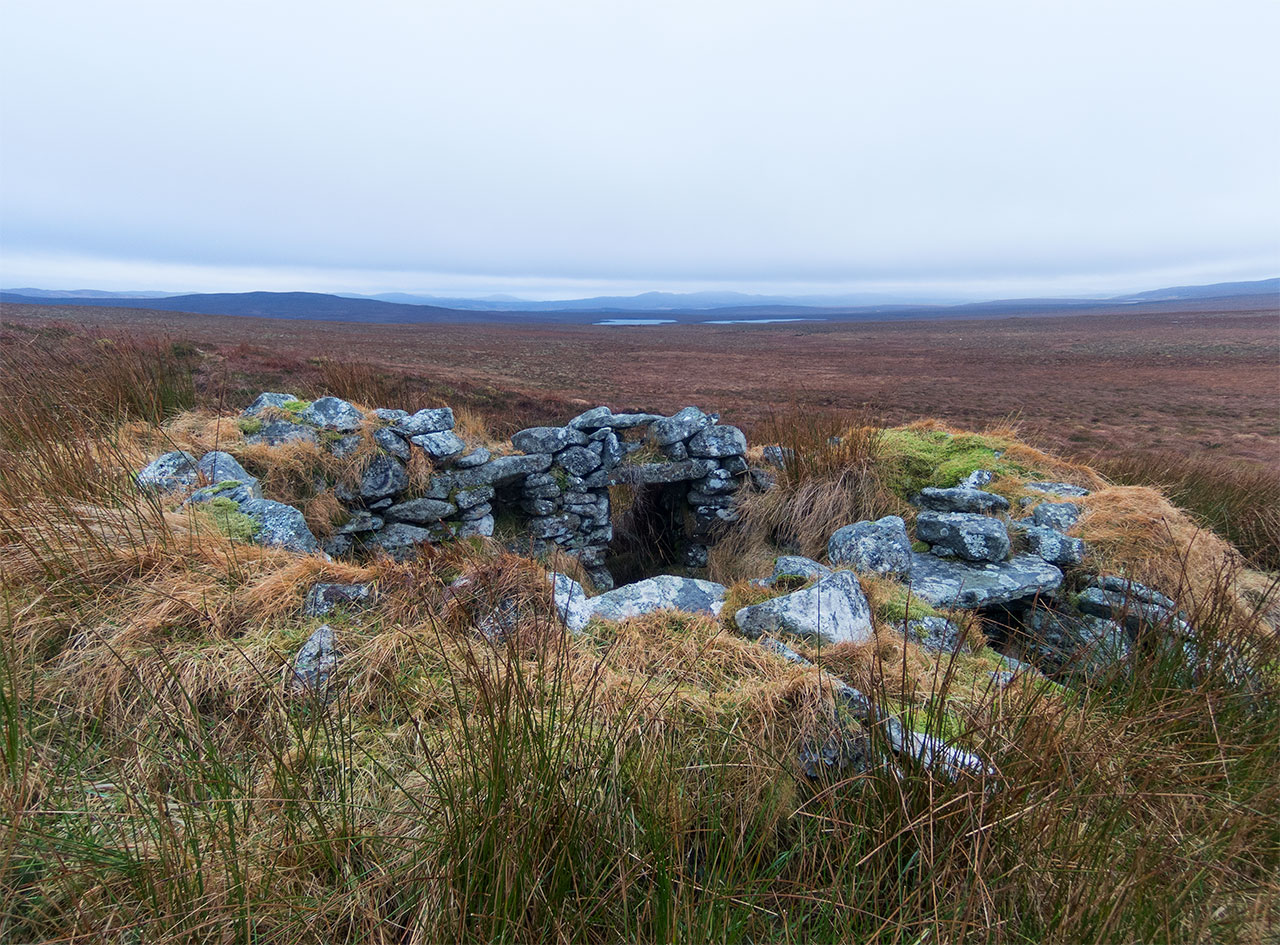 Lewis moorland in January